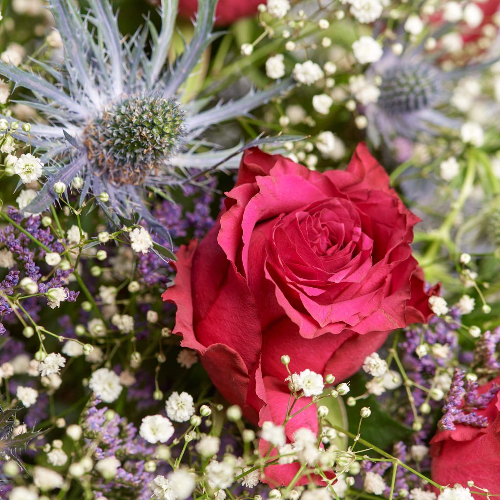 Detailaufnahme Sternzeichen Schütze