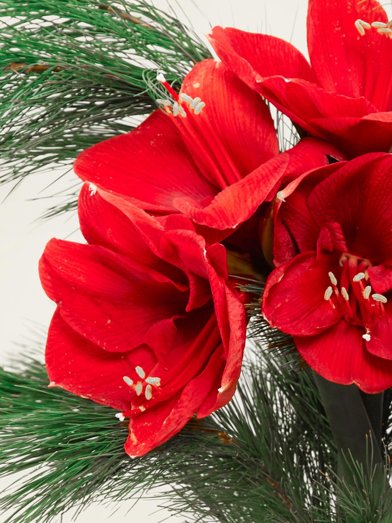 Blume, Pflanze, Blumen-Arrangement, Blumenstrauß