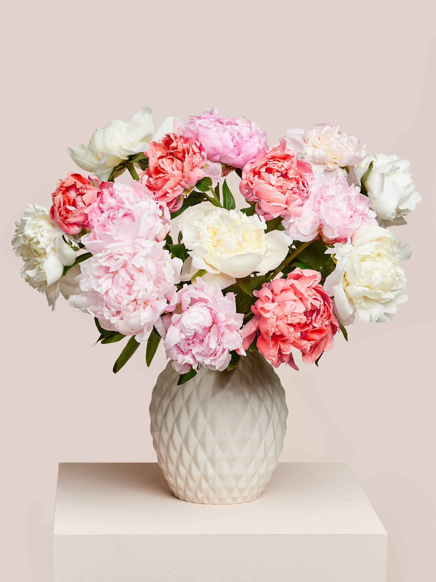 Colorburst Peony Mix 15