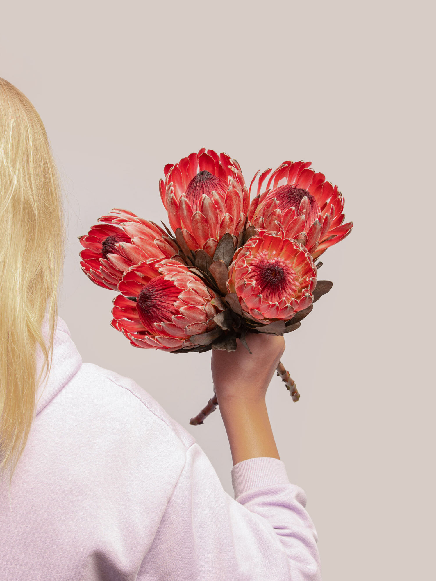 Blume, Blumen-Arrangement, Blumenstrauß, Person, Finger