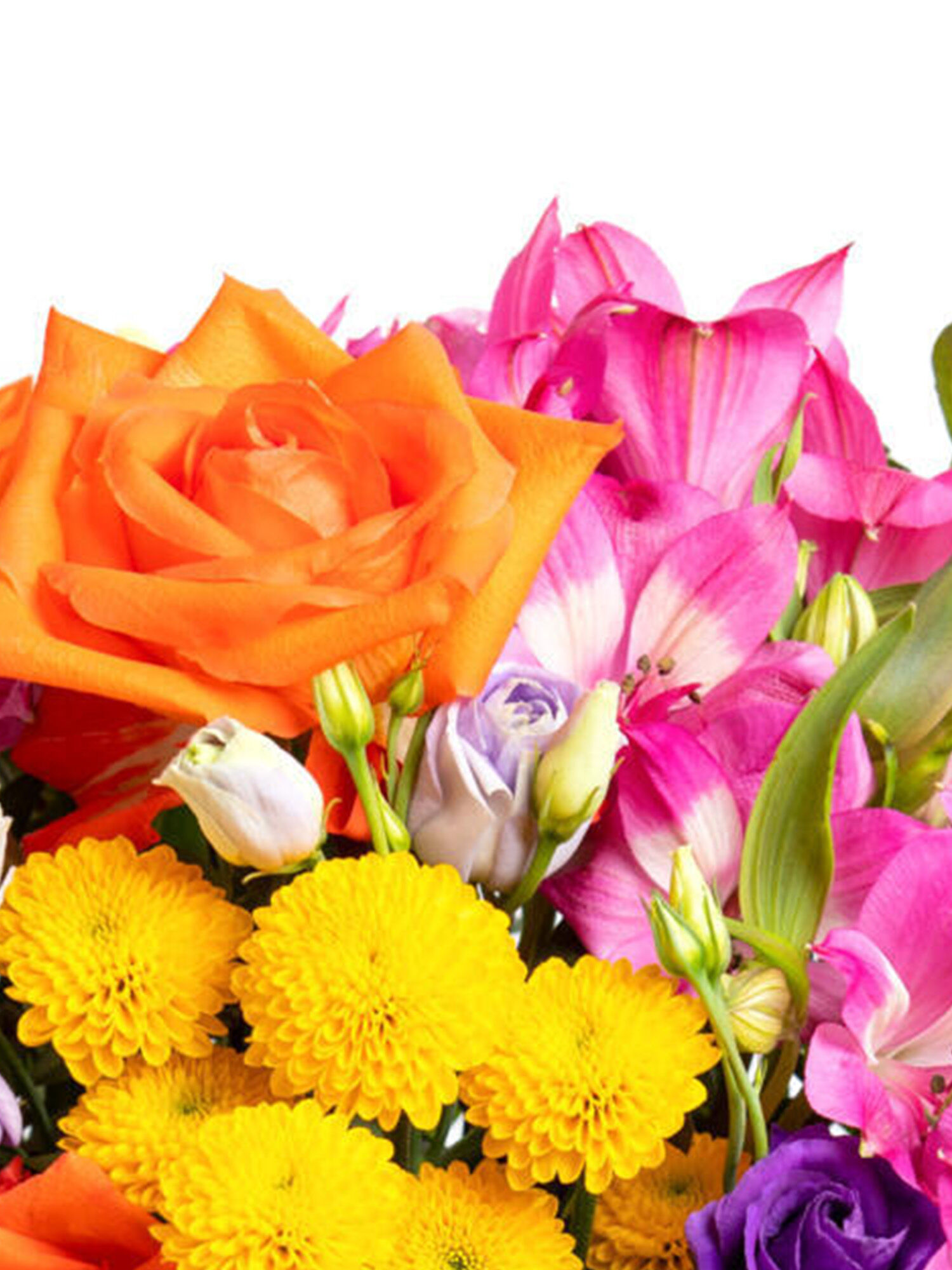blumen, bouquet, orangefarbende rose, gelbe chrysantheme, pinkes lilie