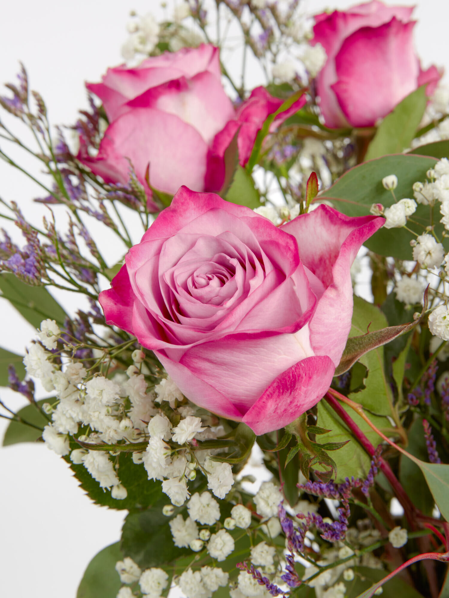 rosa pinke, rosenstrauß, blumenarrangement, hymenoptera?, baby’s breath, lila akzente