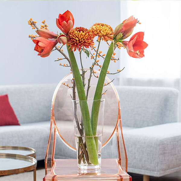 Amaryllis_Chrysanthemen_Ilex