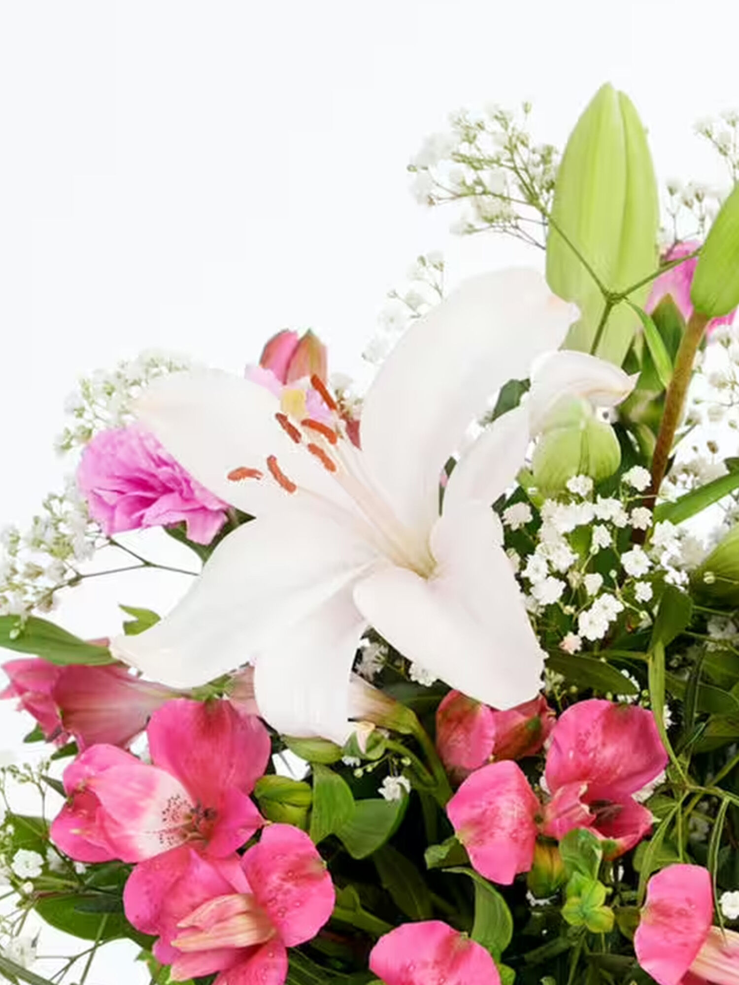 Blumenarrangement, Lilie, rosafarbene Blumen, Babyblume, grünes Laub