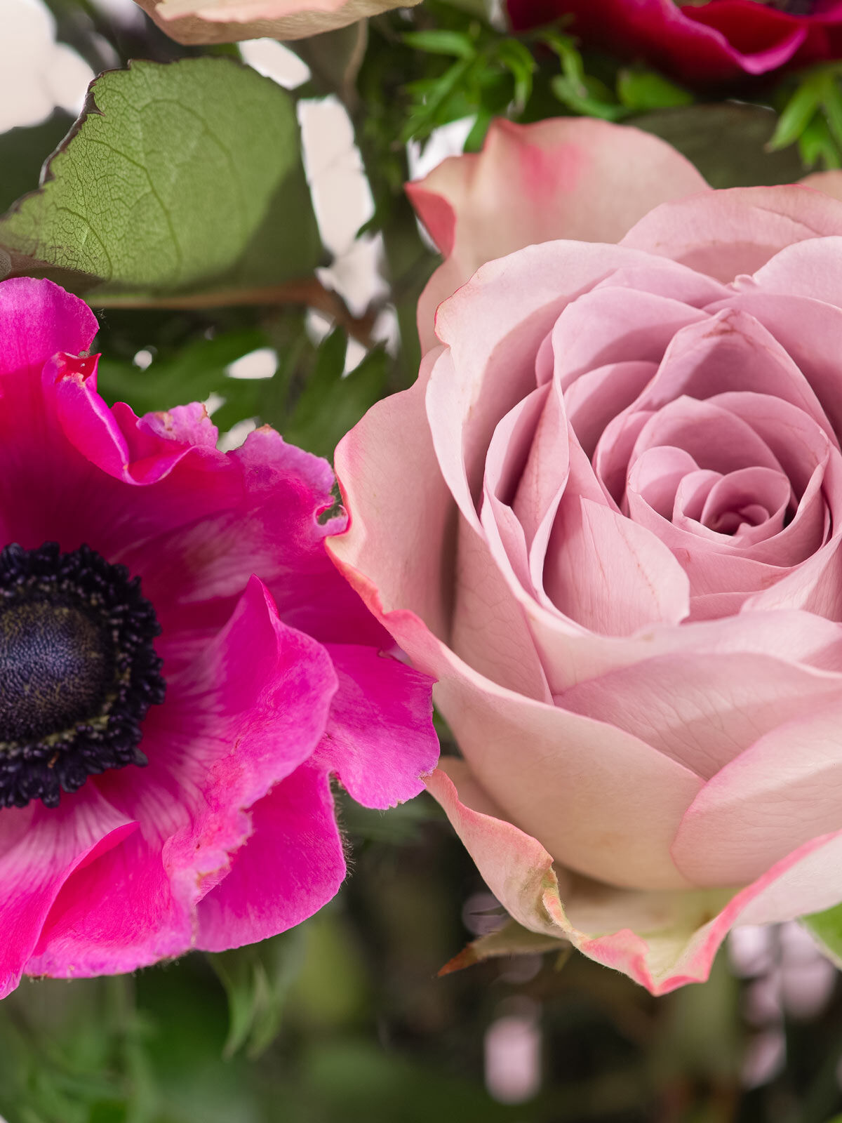 Nahaufnahme einer rosafarbenen Rose und einer pinken Anemone