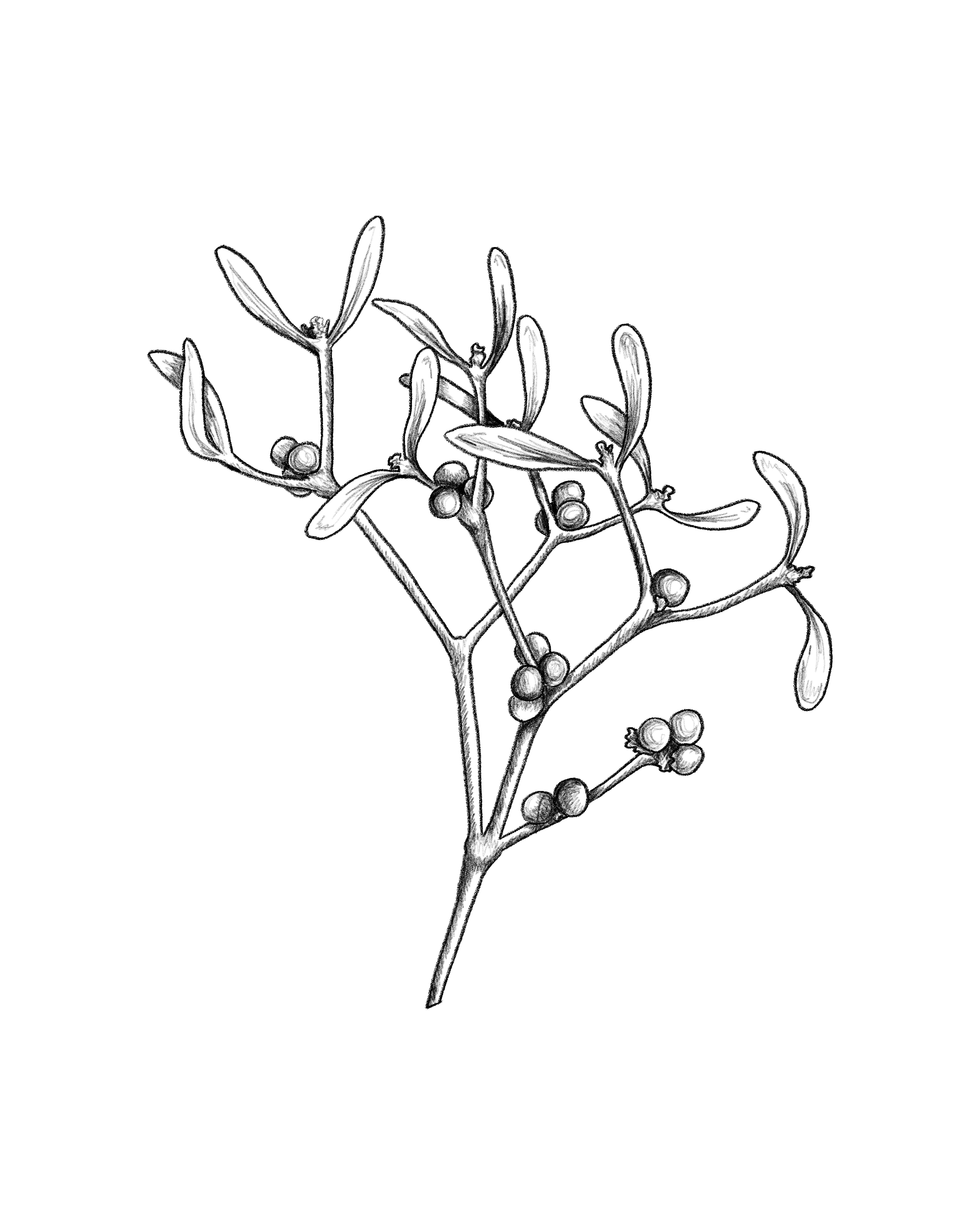 Elektronik, Bildschirm