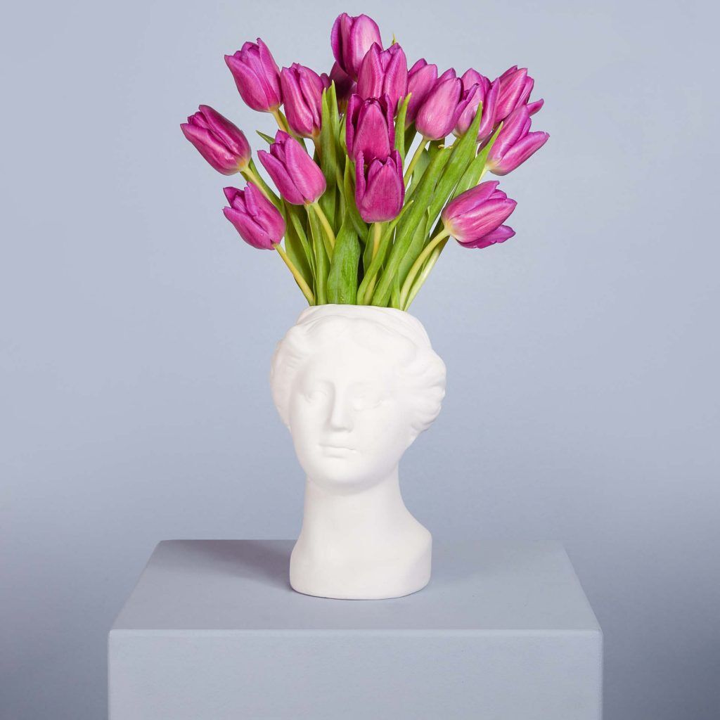 Lila Tulpen