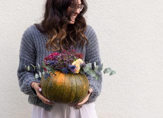 Bekleidung, Strickwaren, Pullover, Kürbis, Gemüse