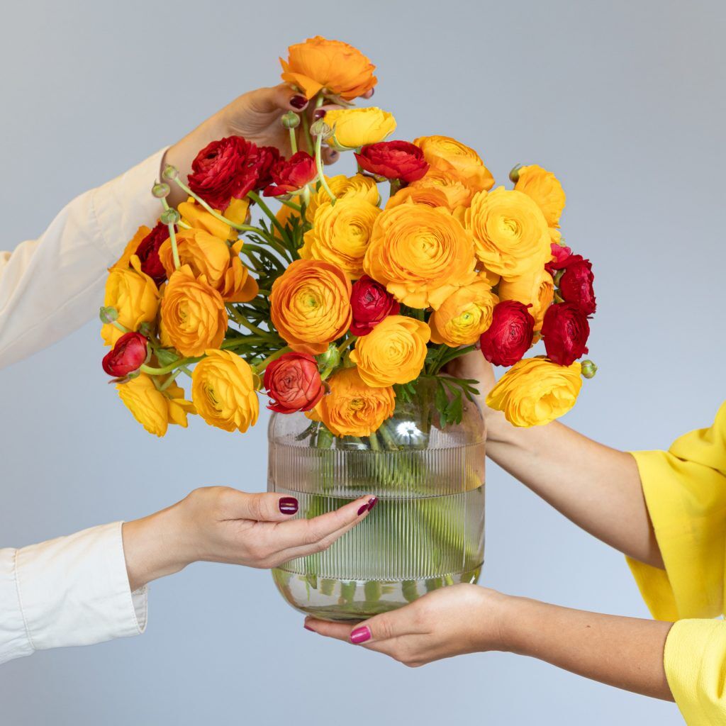 Orange und rote Ranunkeln