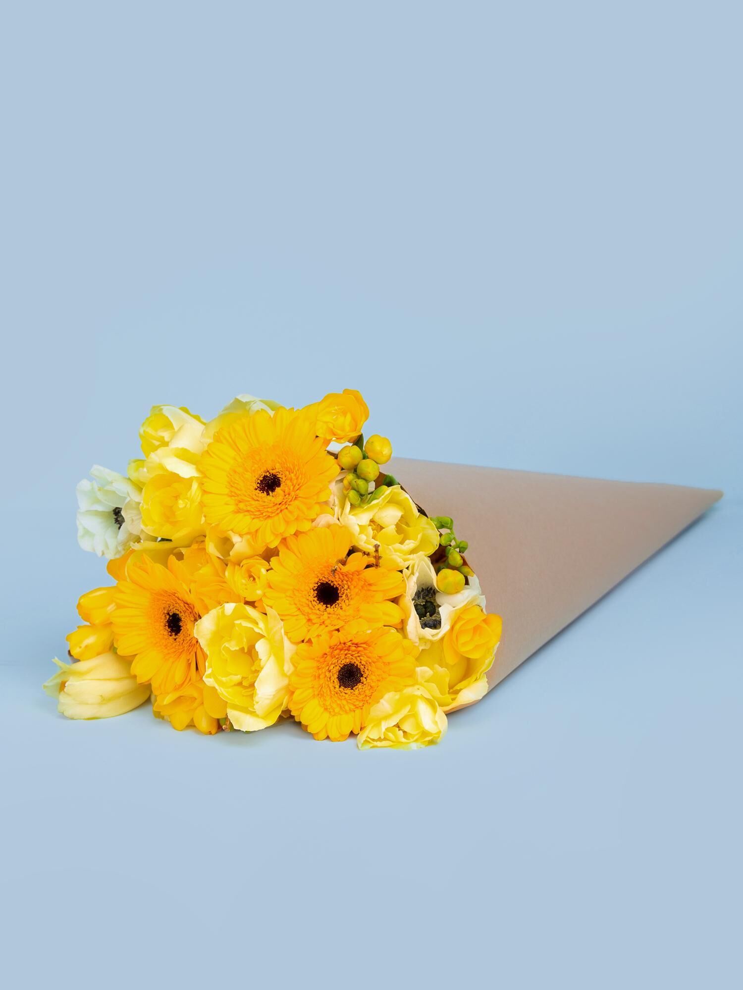 blumen, bouquet, gelb, gerbera, eingewickelt