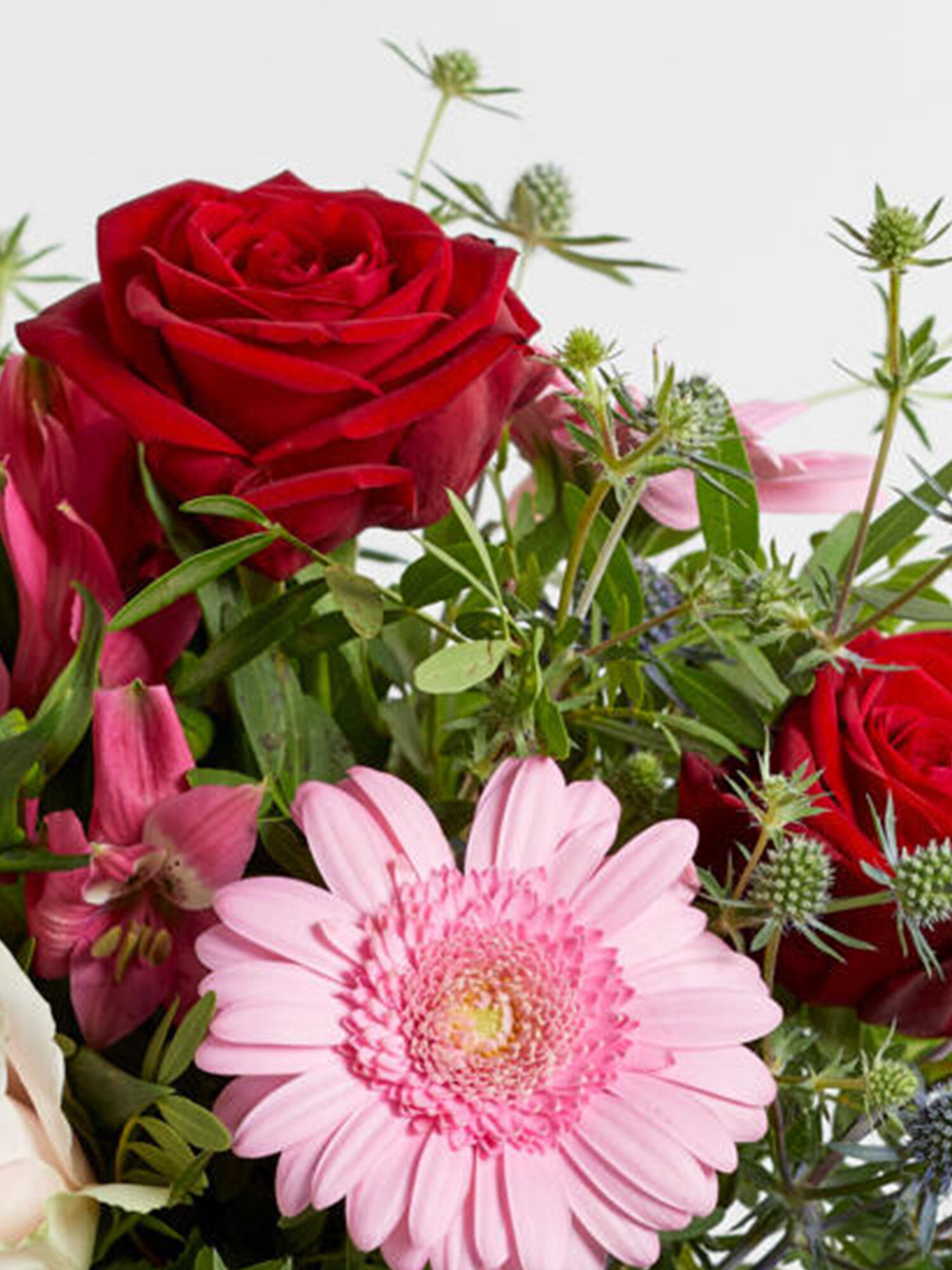 rose, rote rose, pinker gerbera, blumenstrauß, grünes blattwerk