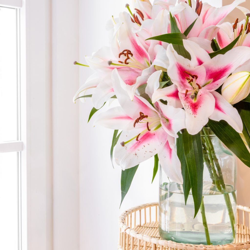 Lilien