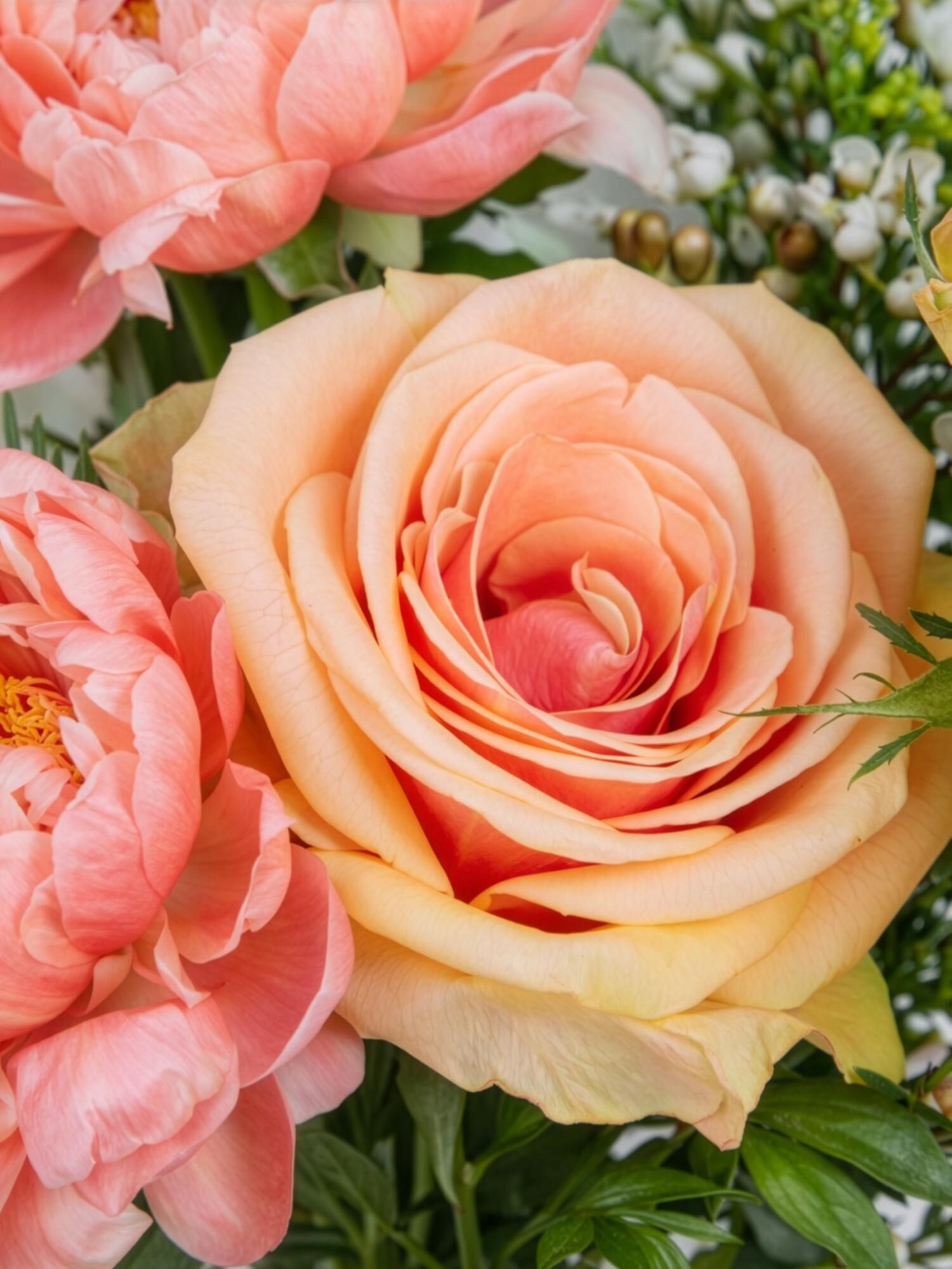 rose, pfirsichrose, blumenstrauß, gartenblume, blüte