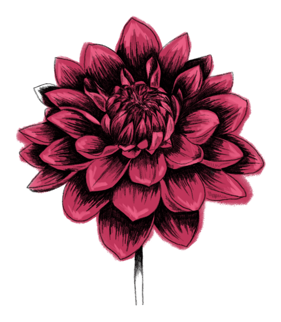 Dahlie