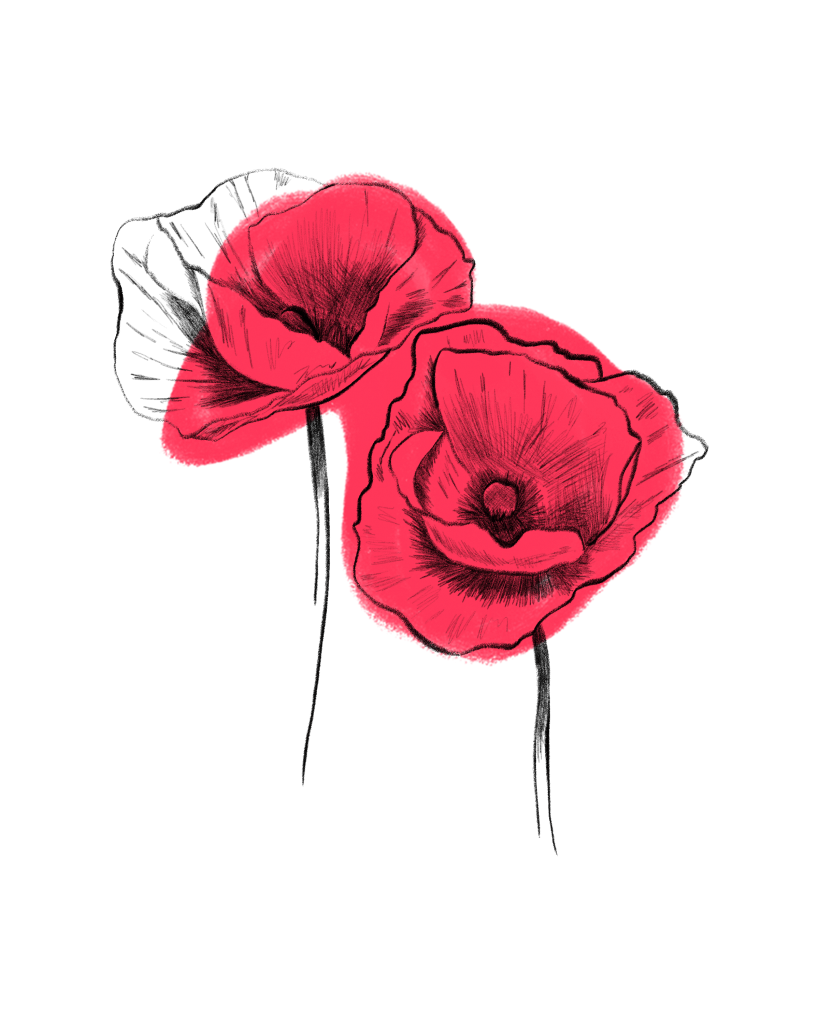 Klatschmohn im Mai
