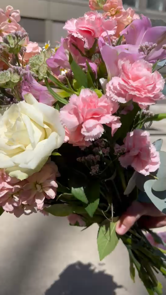 Blush Beauty Blume, Pflanze, Blumen-Arrangement, Blumenstrauß, Rose