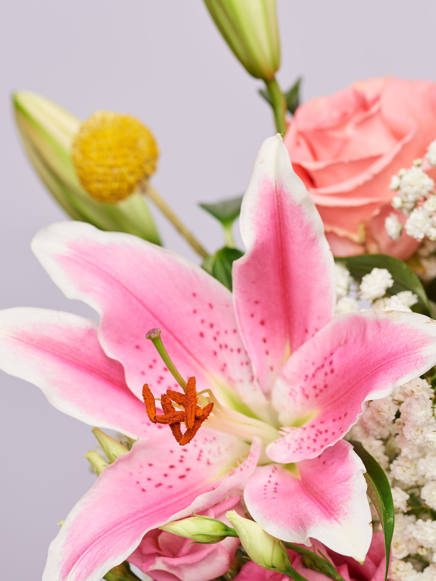 Blume, Blütenblatt, Blumen-Arrangement, Blütenstaub, Blumenstrauß