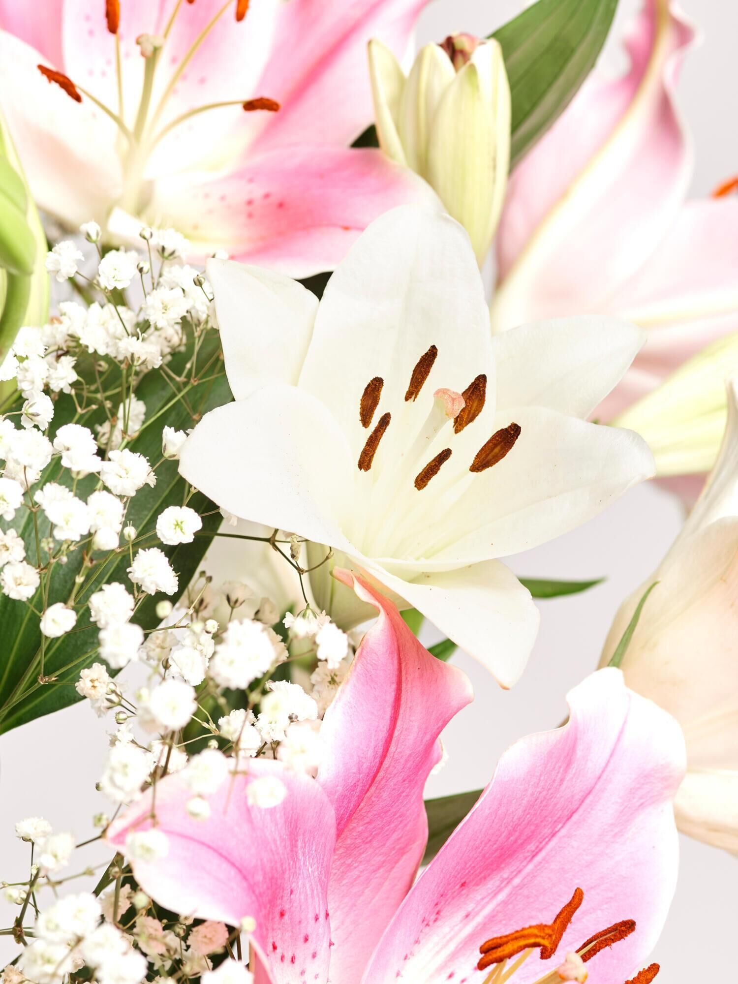 Blumenarrangement, Lilien, rosa Strauß, Baby-Breath, weiße Blume