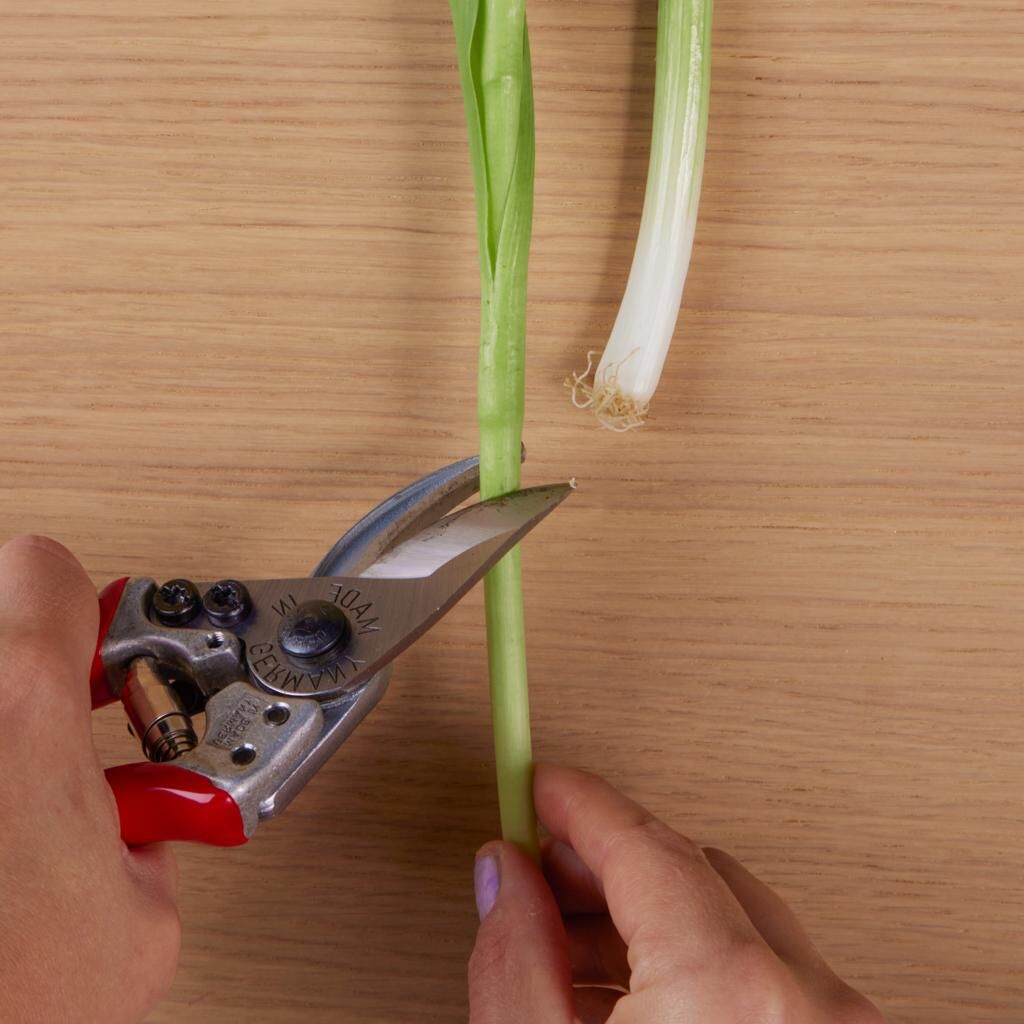 kürzen der Lauchzwiebeln