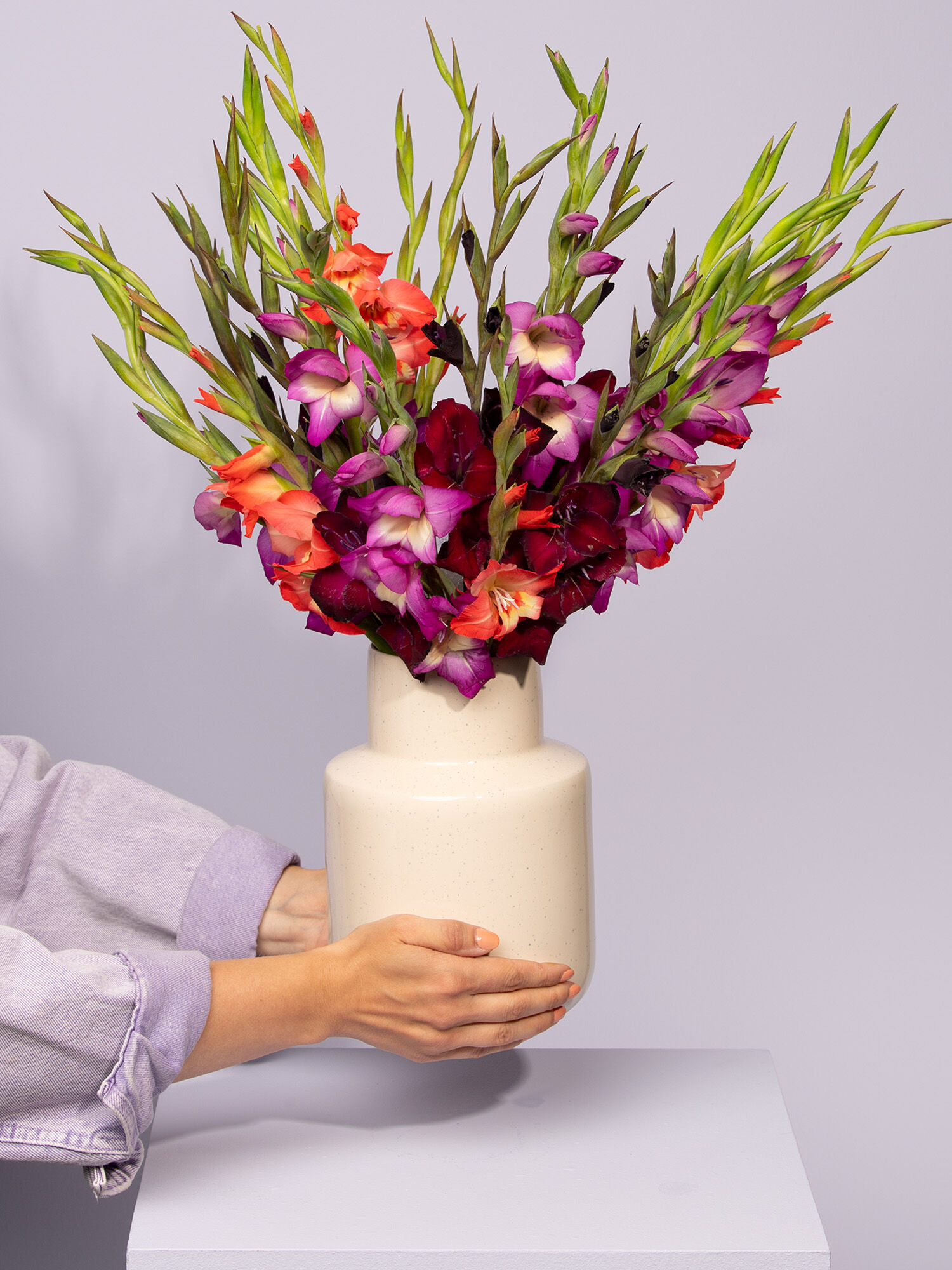 Blume, Blumen-Arrangement, Pflanze, Blumenstrauß