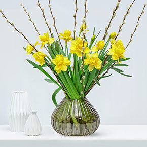 Frühlingsblumen_online_bestellen