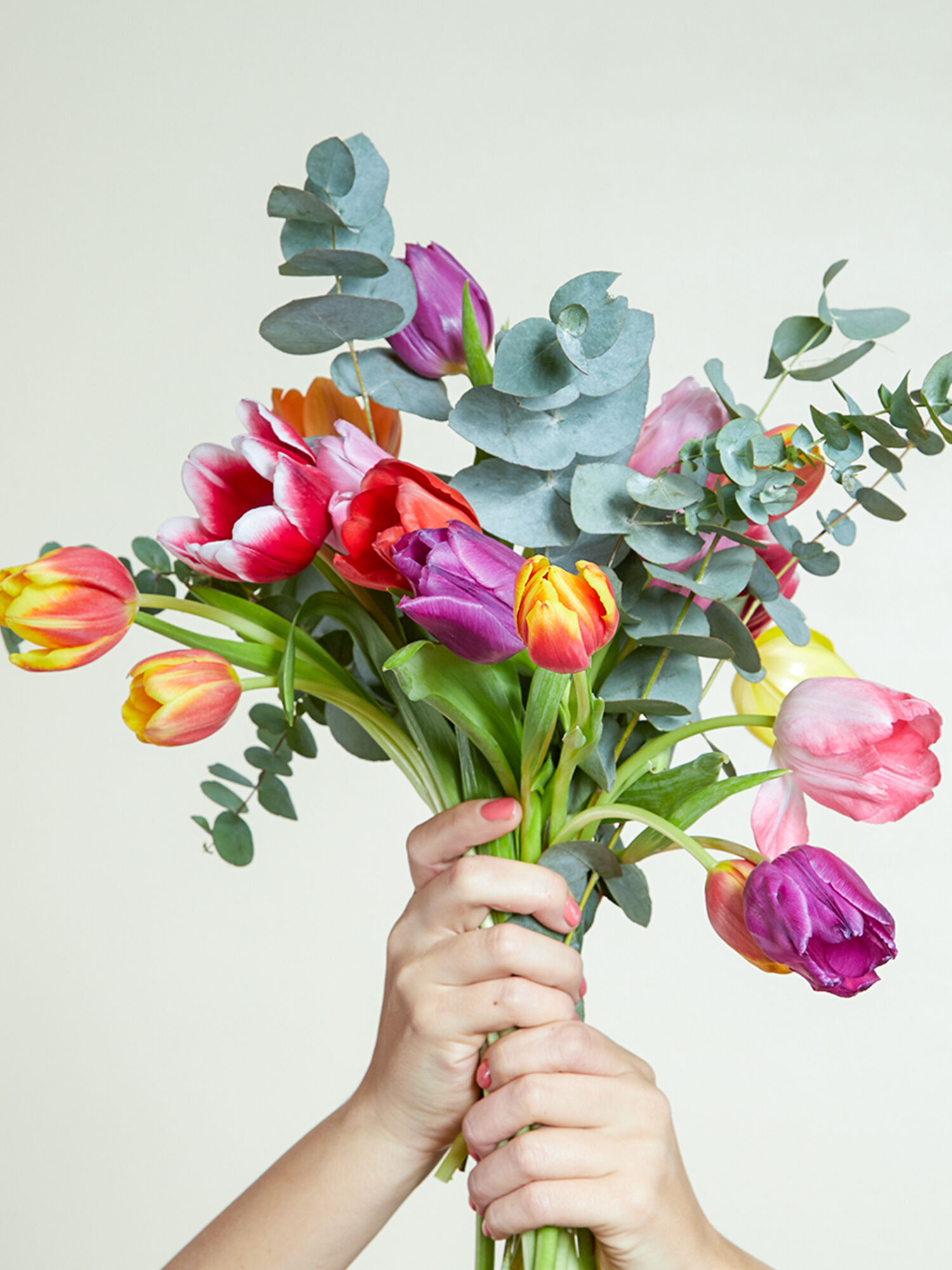 Blume, Blumen-Arrangement, Blumenstrauß, Pflanze, Finger