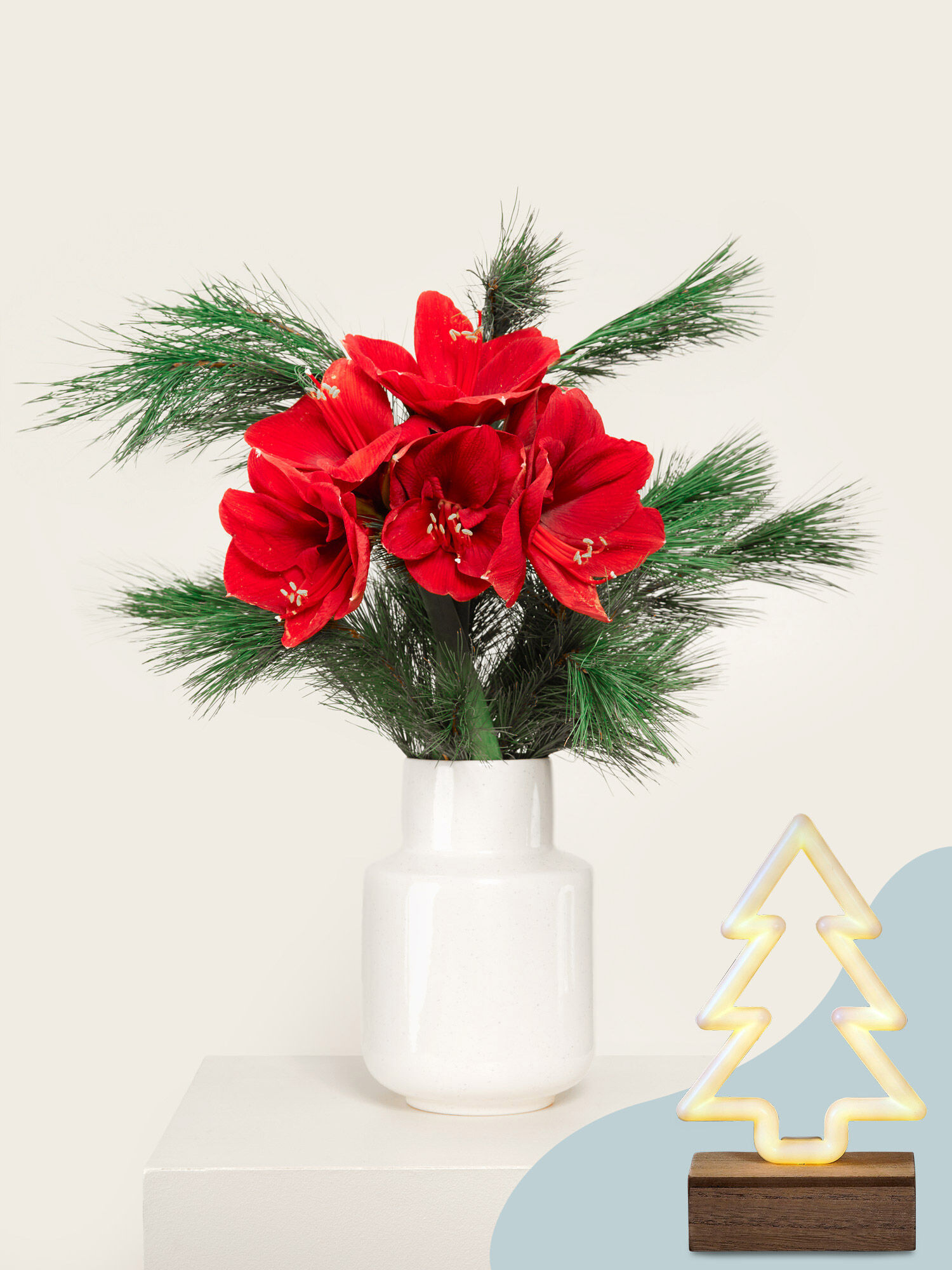 Blume, Blumen-Arrangement, Pflanze, Blumenstrauß, Topfpflanze