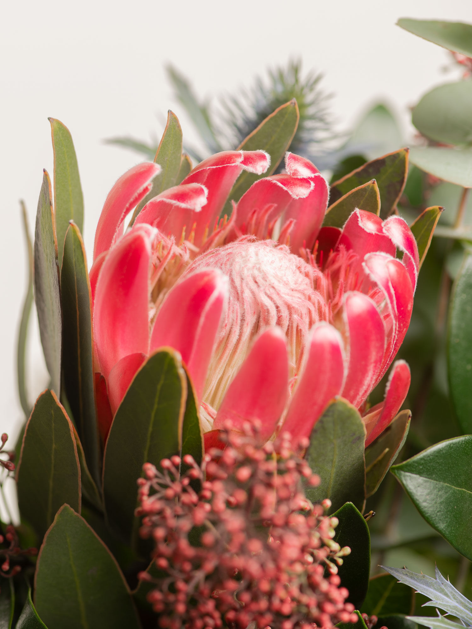 Lovely Autumn Lovely Autumn