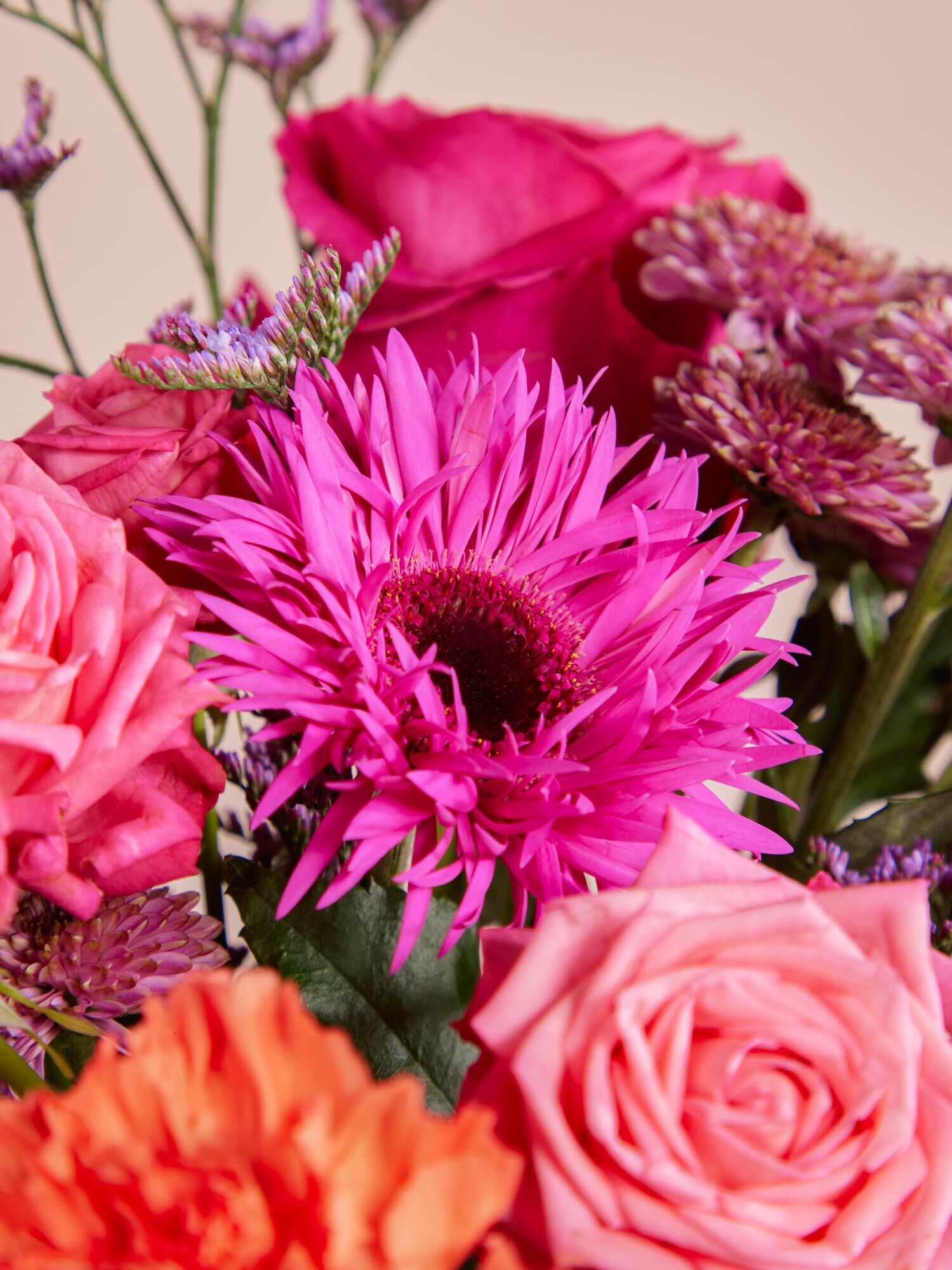 Blume, Blumen-Arrangement, Blumenstrauß, Blütenblatt, Rose