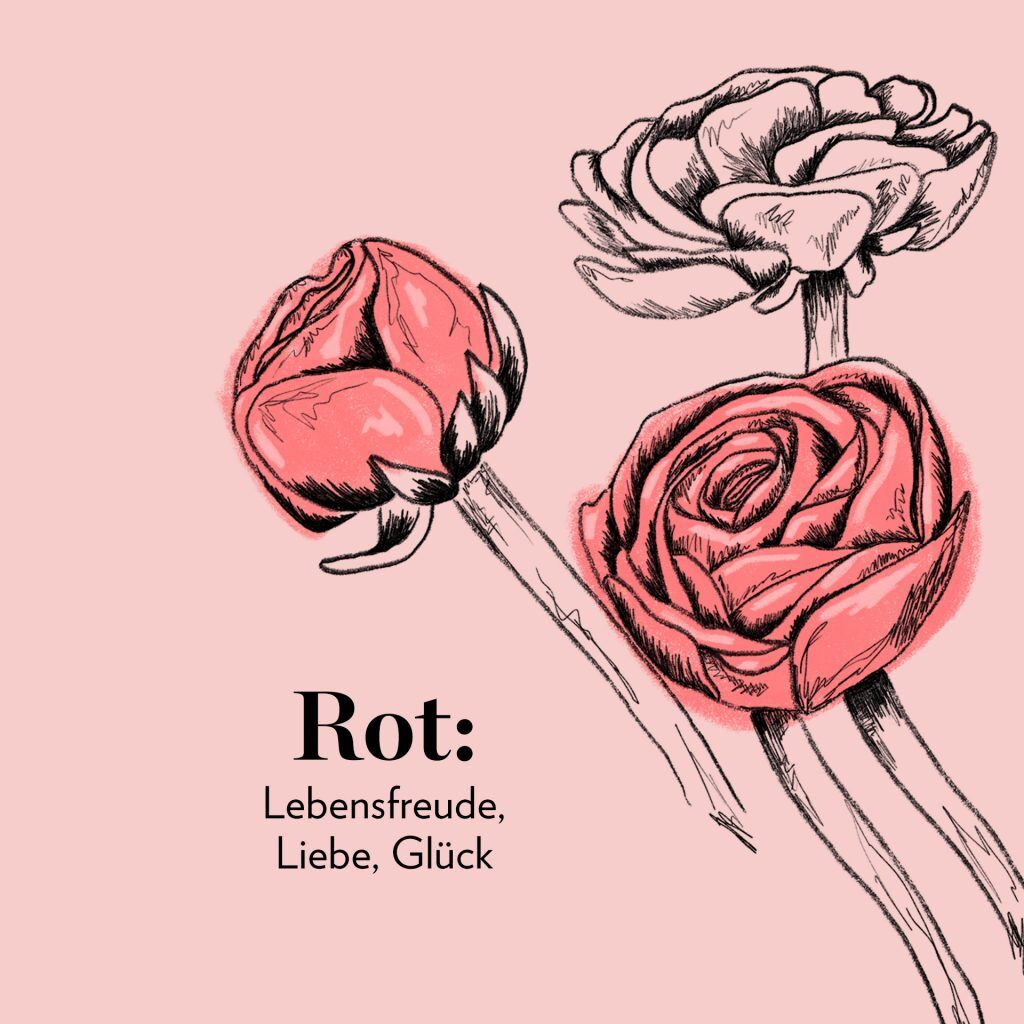 Rot