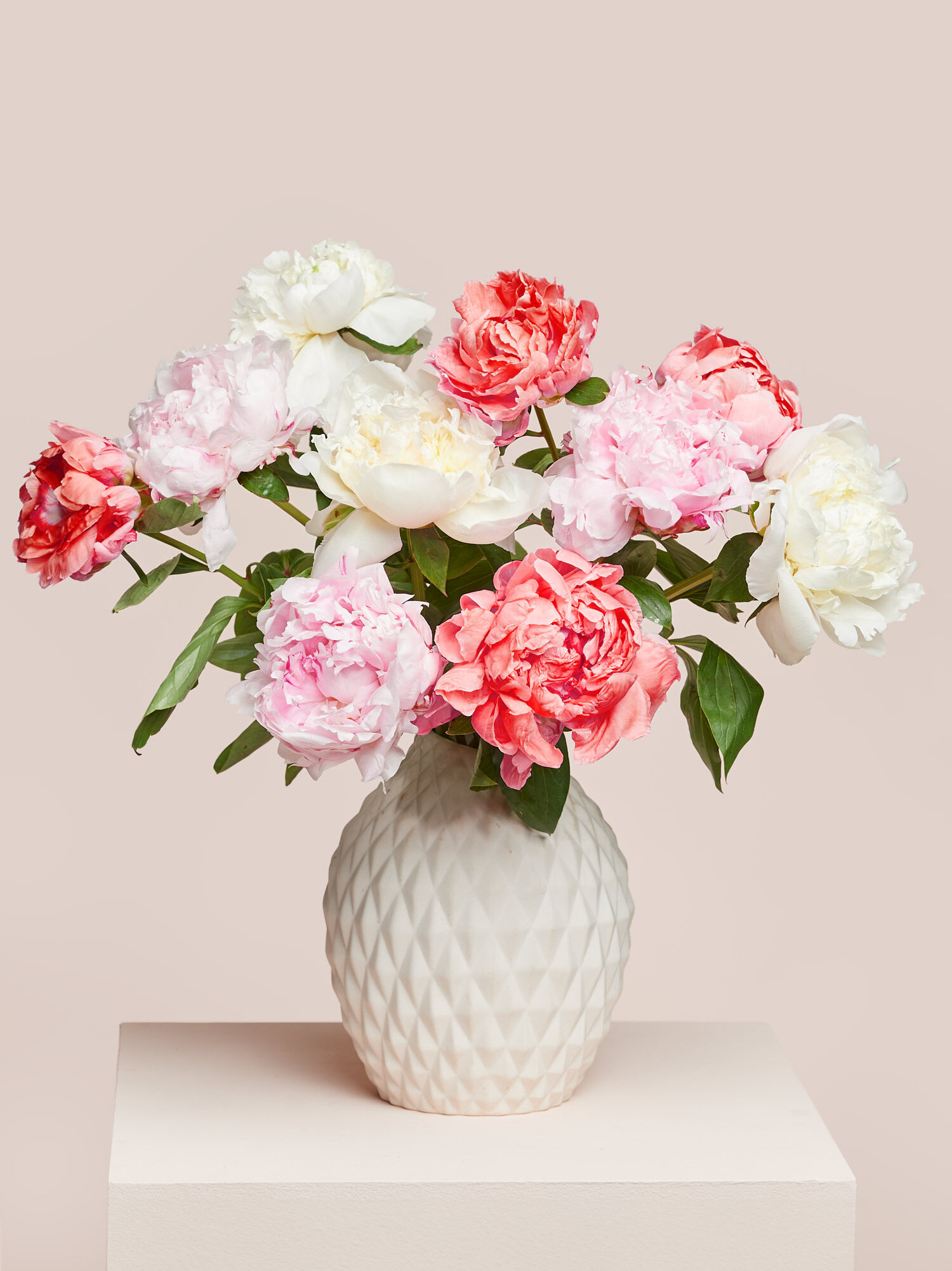 Colorburst Peony Mix 10