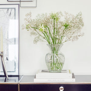 Schleierkraut, Agapanthus, Milchstern