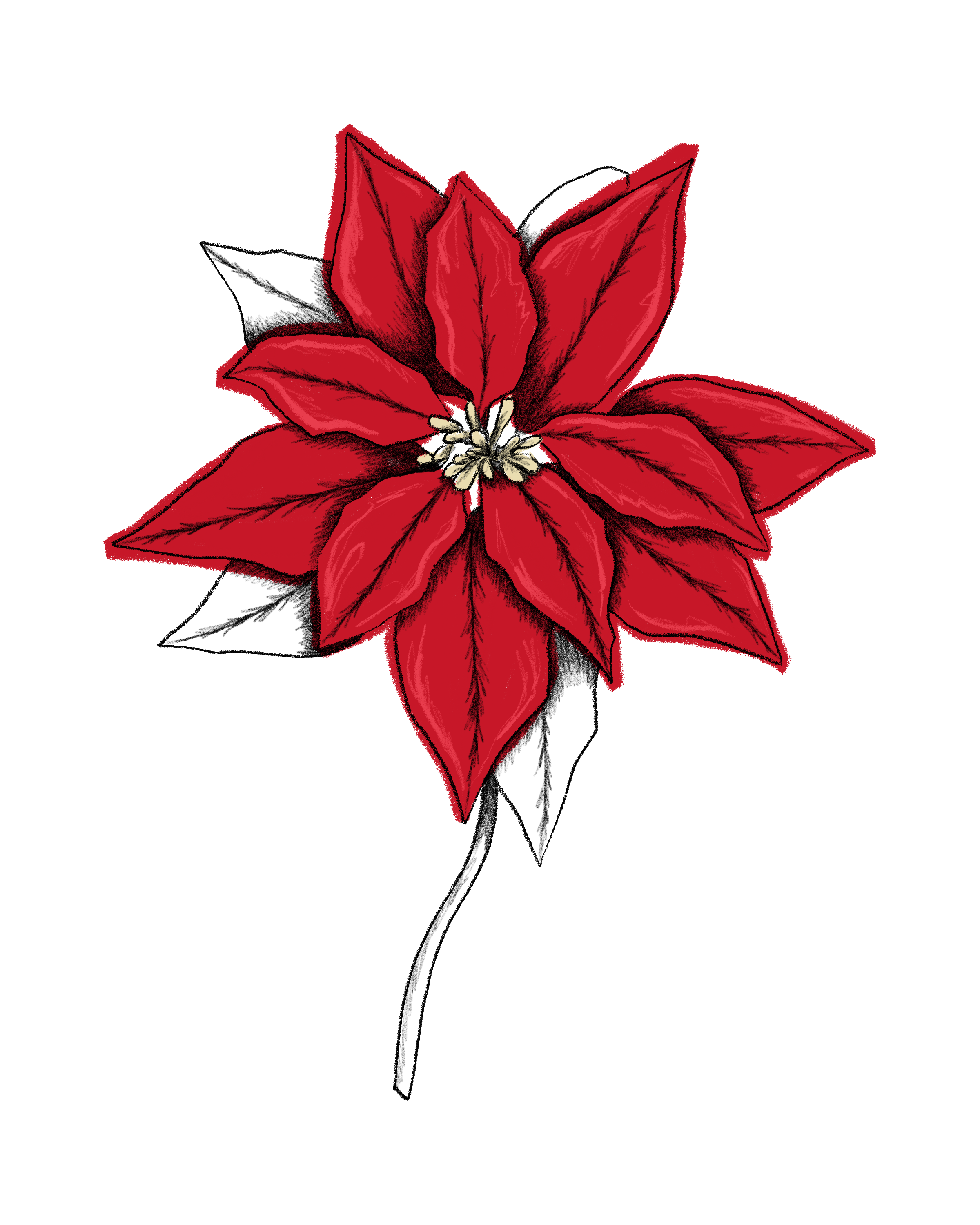 Dahlie, Blume, Pflanze, Blatt