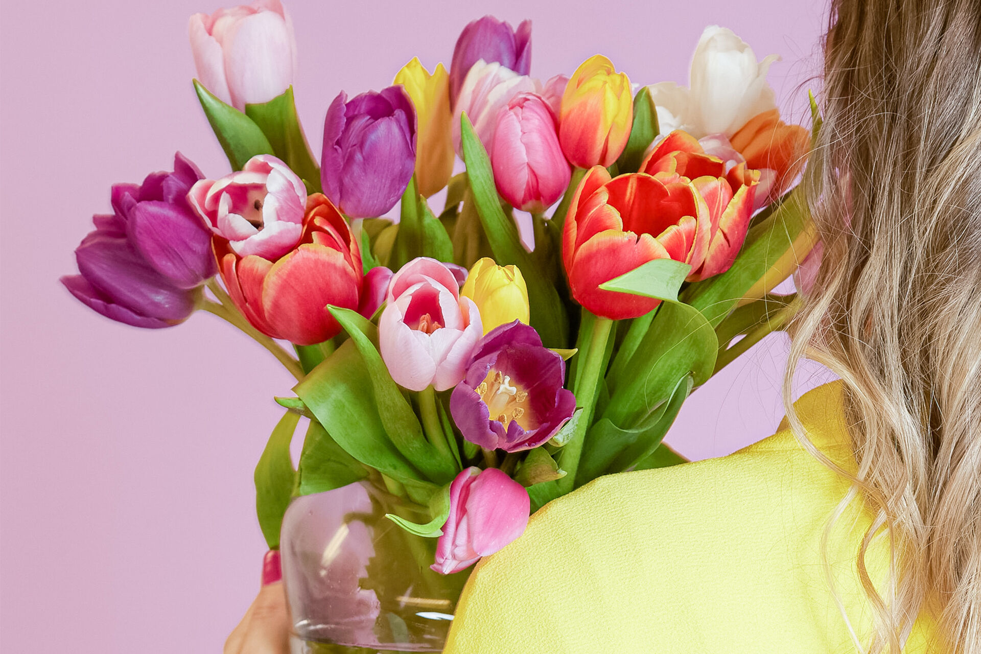 Blume, Blumen-Arrangement, Blumenstrauß, Pflanze, Person