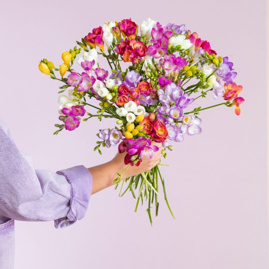 Bunt, Bunter, Freesien!