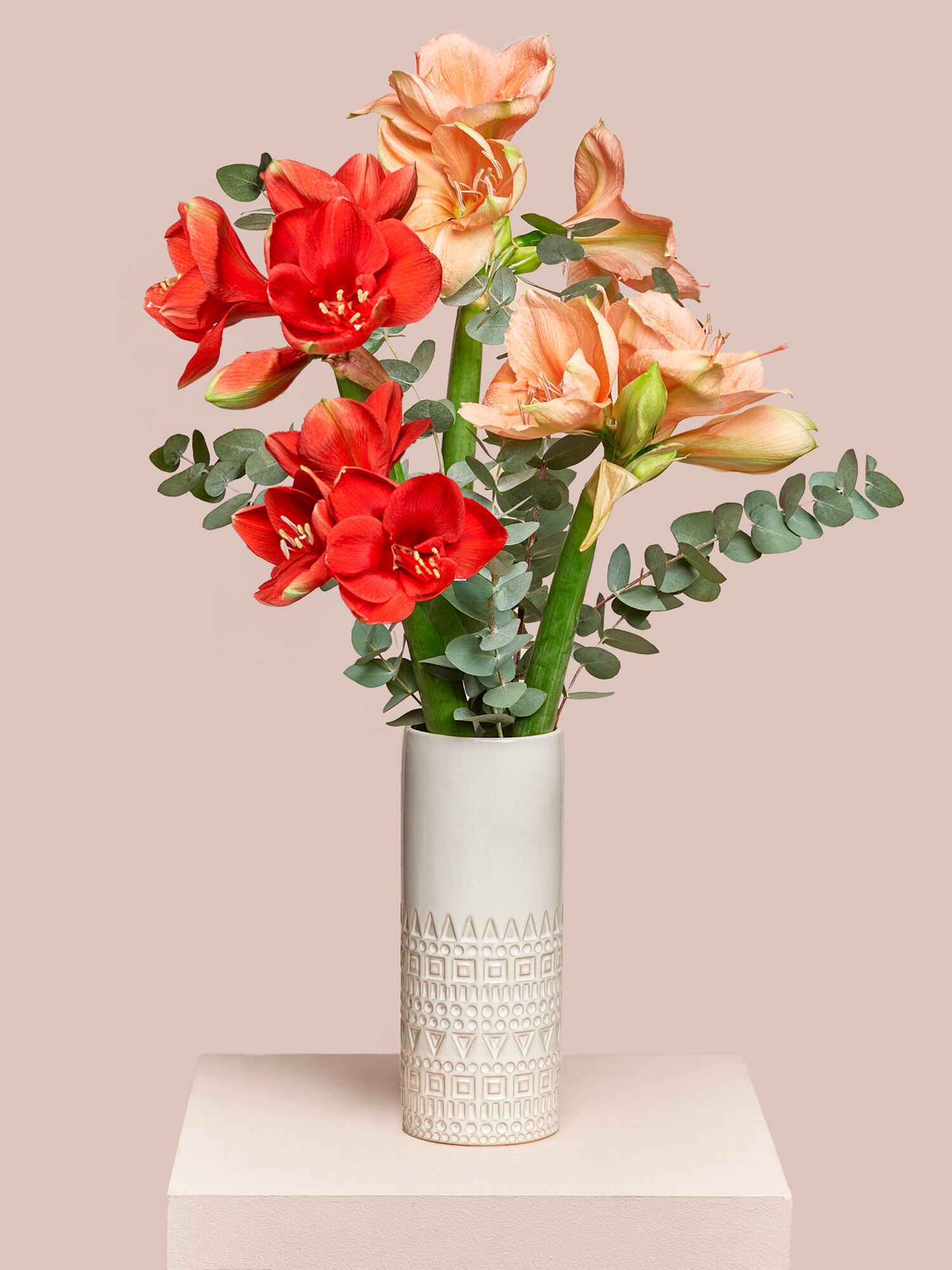 Blume, Blumen-Arrangement, Pflanze, Blumenstrauß, Rose