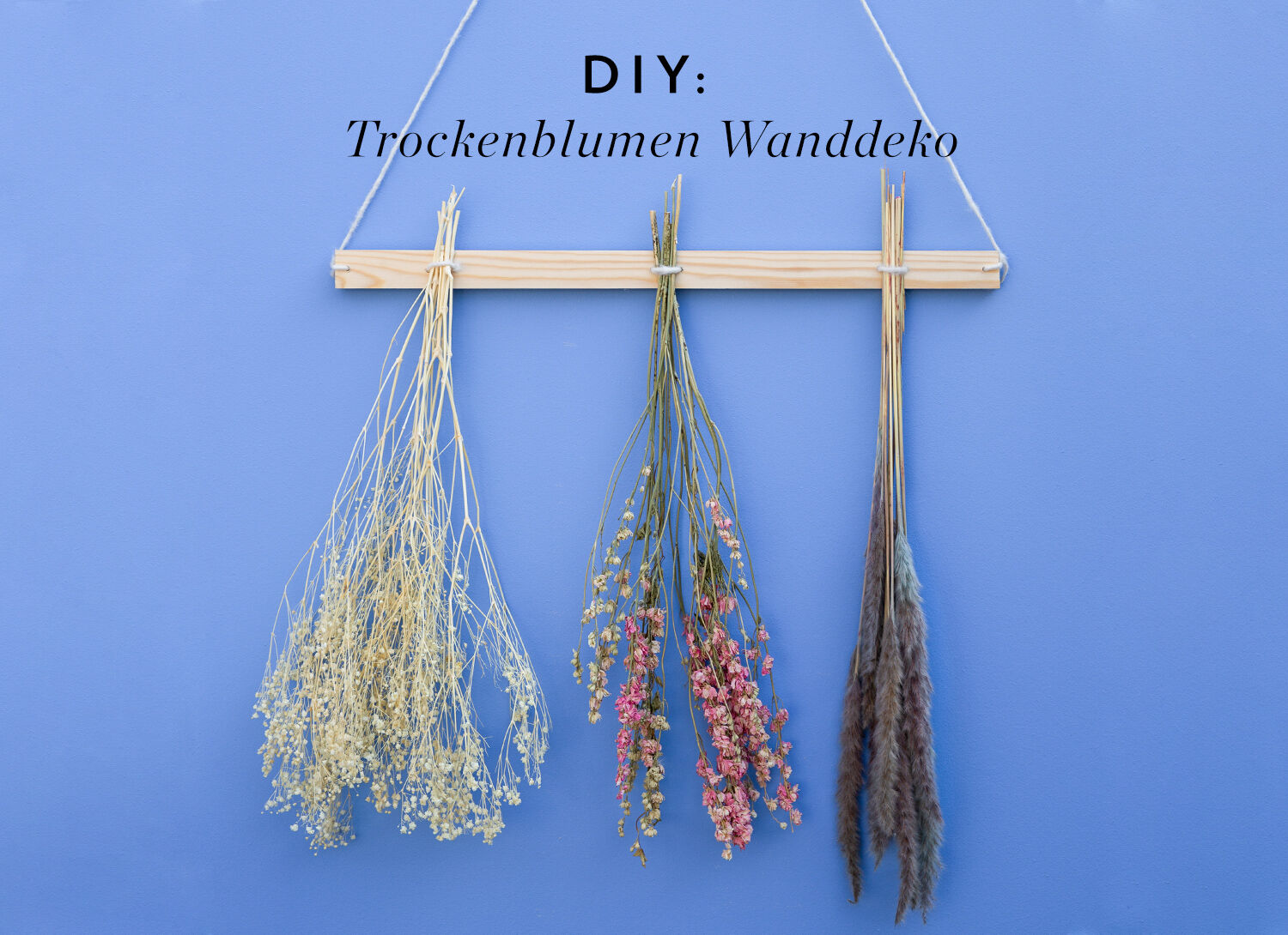 Trockenblumen DIY: Wandleiste