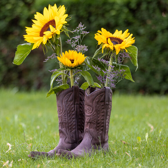 Sonneblumen in Cowboy-Boots