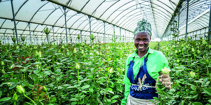 Frau im Gewächshaus