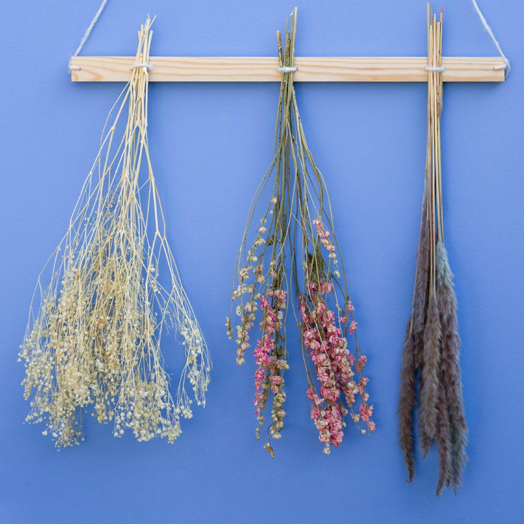 fertiges Trockenblumen DIY