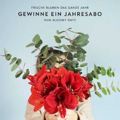 Jahres-Abo-Gewinnspiel