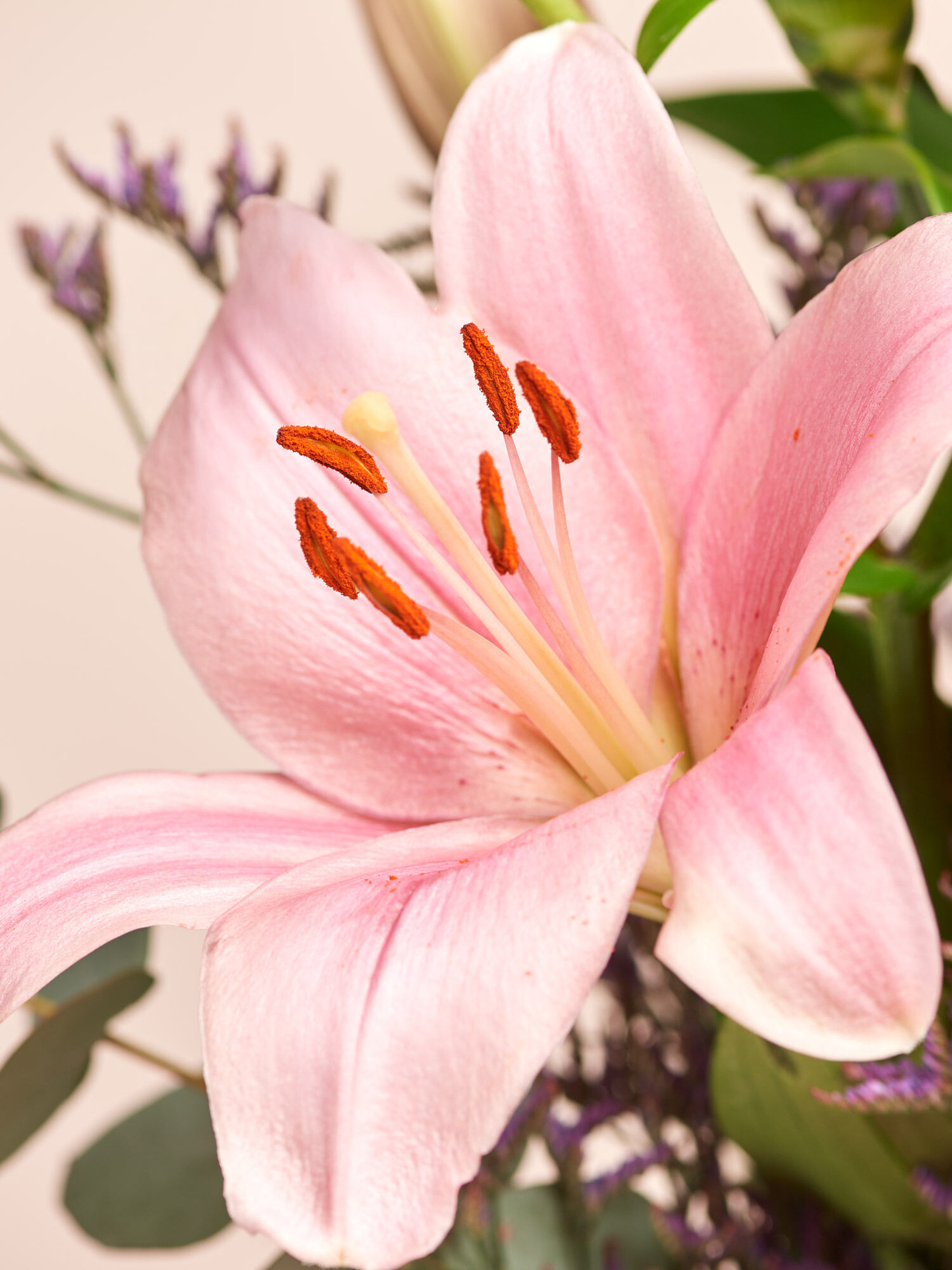 Blume, Pflanze, Blütenstaub, Lilie