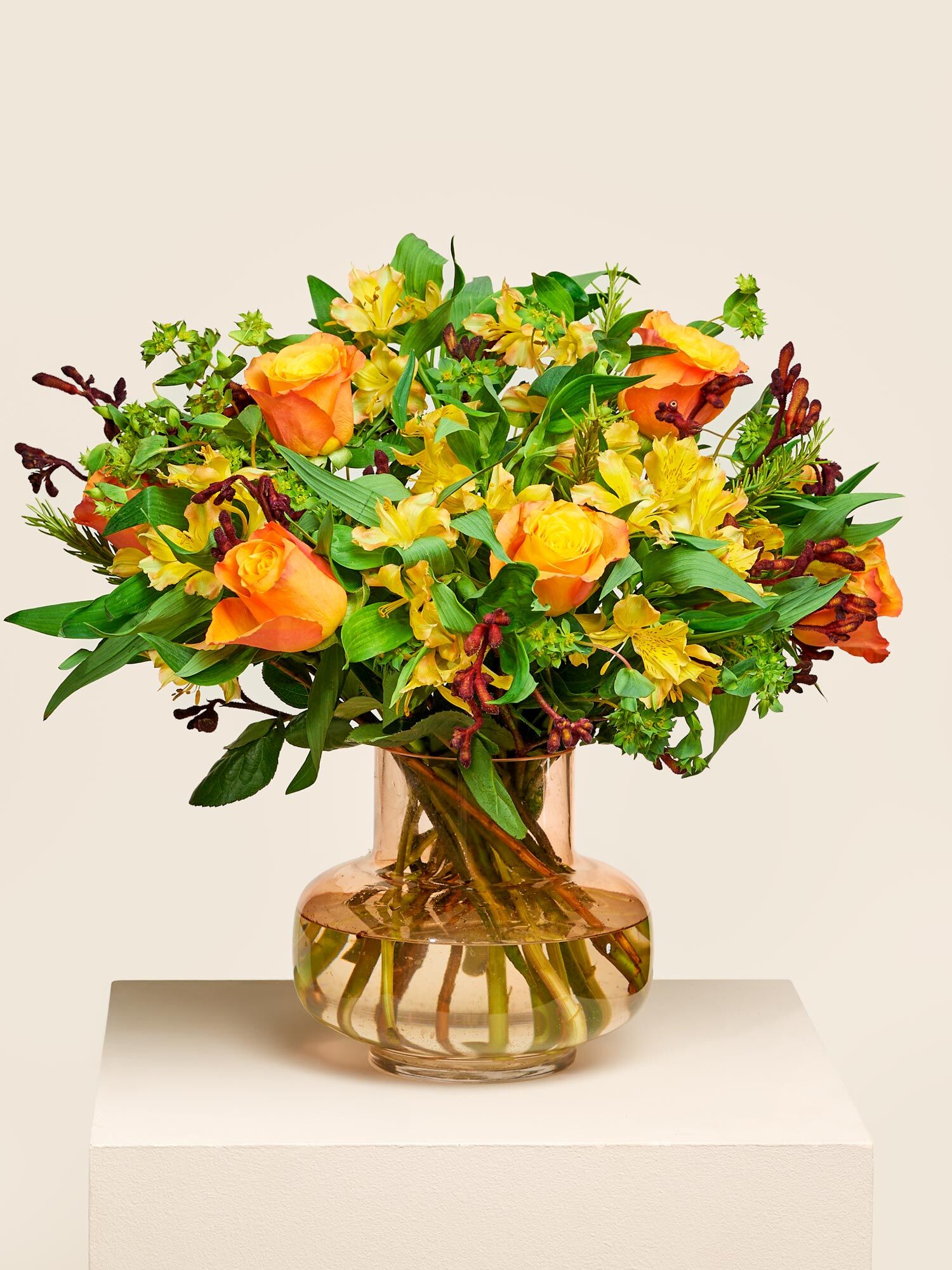 Sternzeichen Skorpion Blume, Blumen-Arrangement, Pflanze, Blumenstrauß, Florales Design