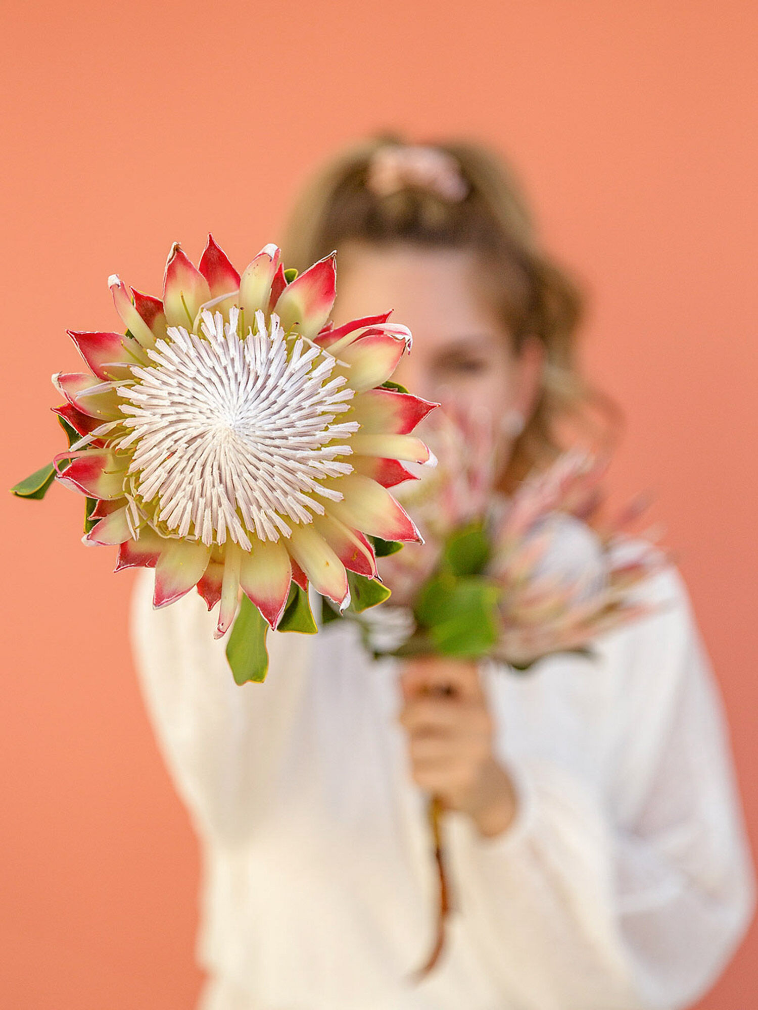 Blume, Blumen-Arrangement, Blumenstrauß, Person, Gesicht