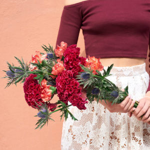 Nelken, Celosia, Disteln