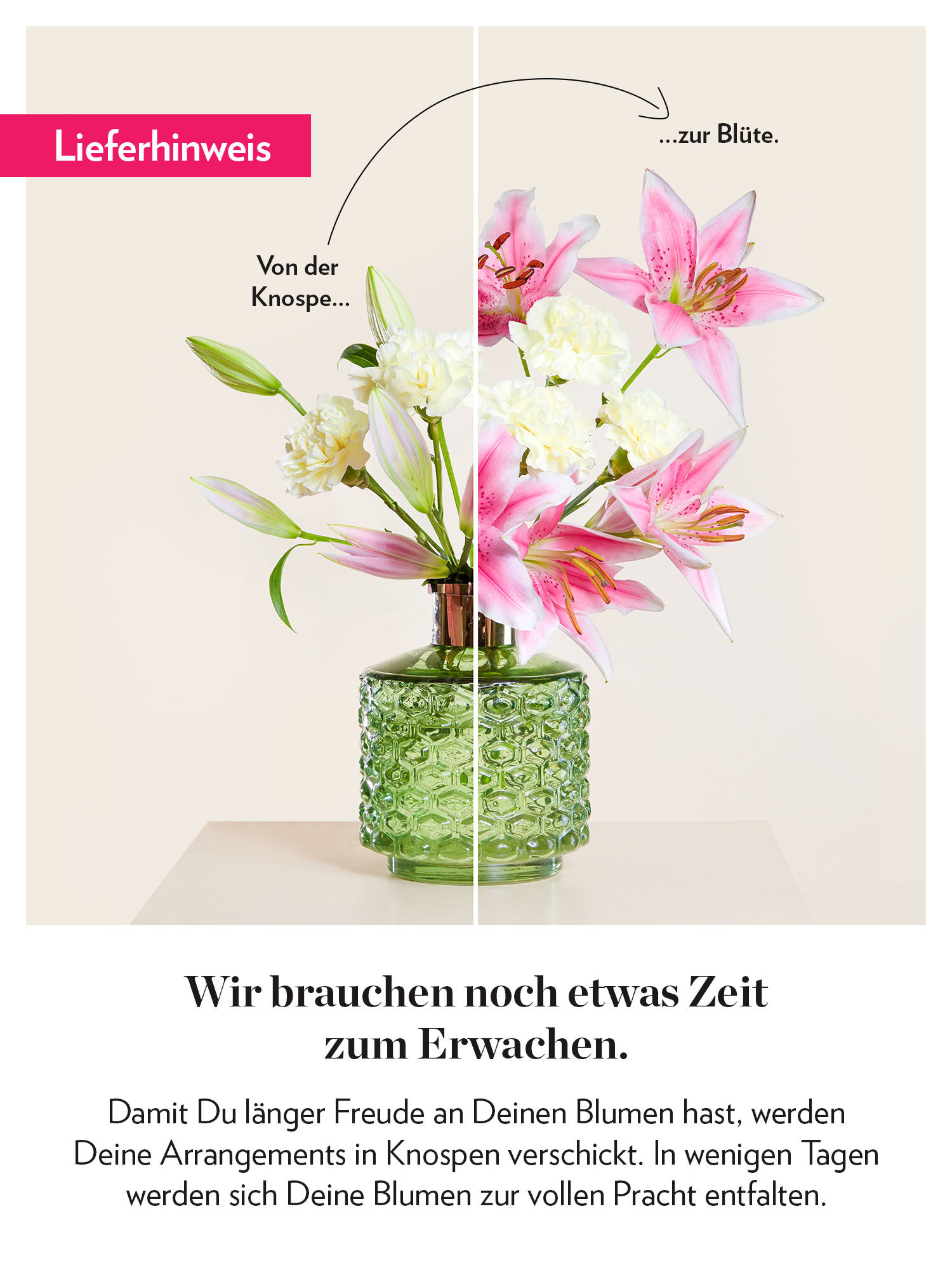 Happy Birthday Blume, Blumen-Arrangement, Florales Design, Grafiken, Werbung