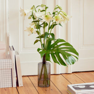 Lilien & Monsterablatt