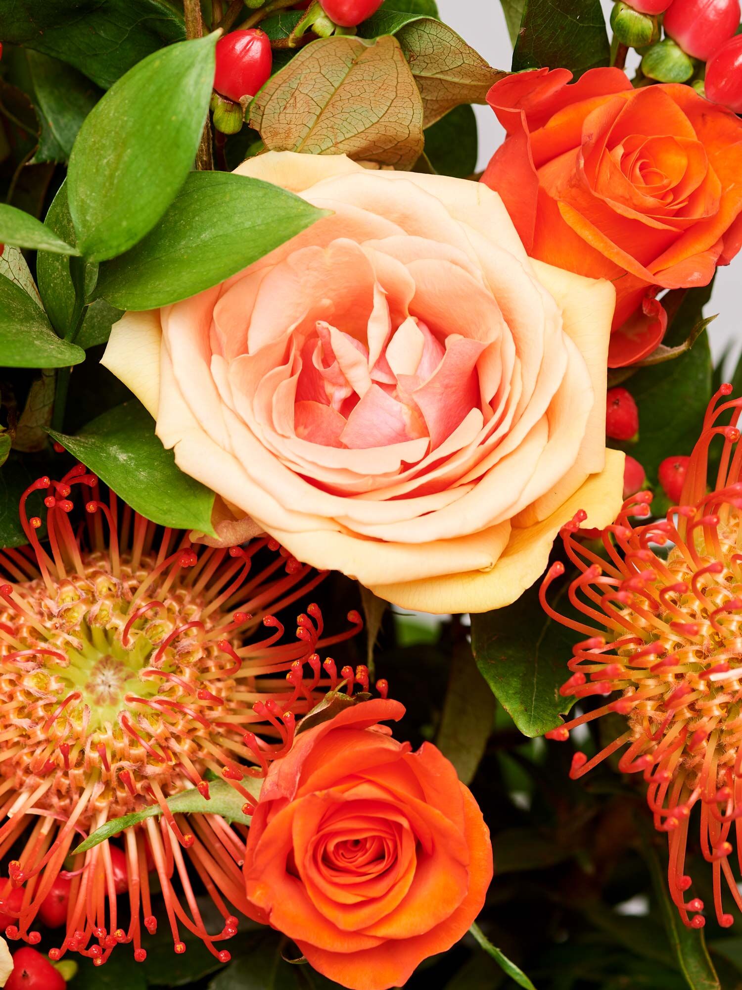 Blume, Rose, Blumen-Arrangement, Blumenstrauß, Blütenblatt
