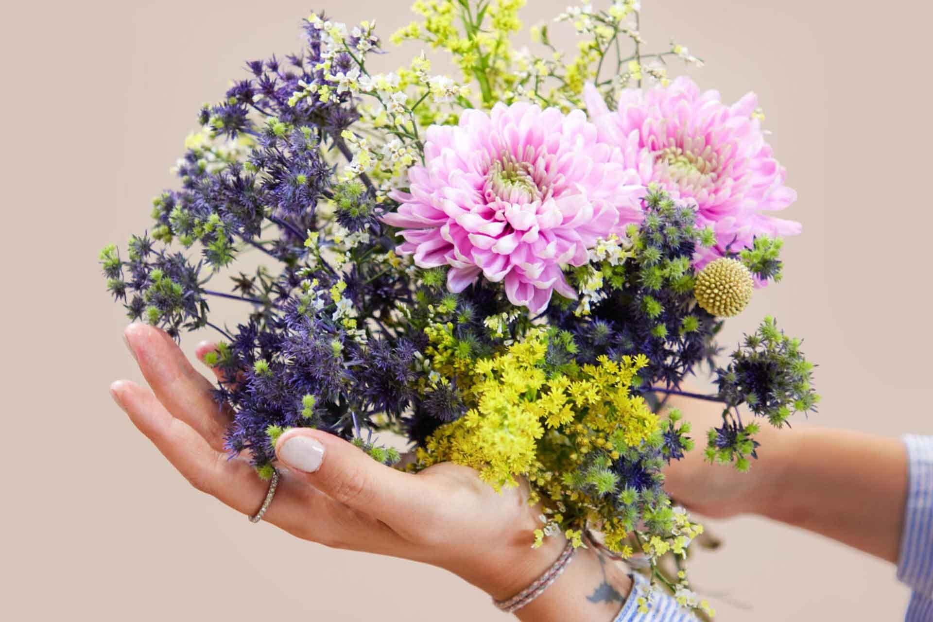 Blumenstrauß, Blumen, Pinke Chrysantheme, gemischte Blüten, in der Hand gehalten