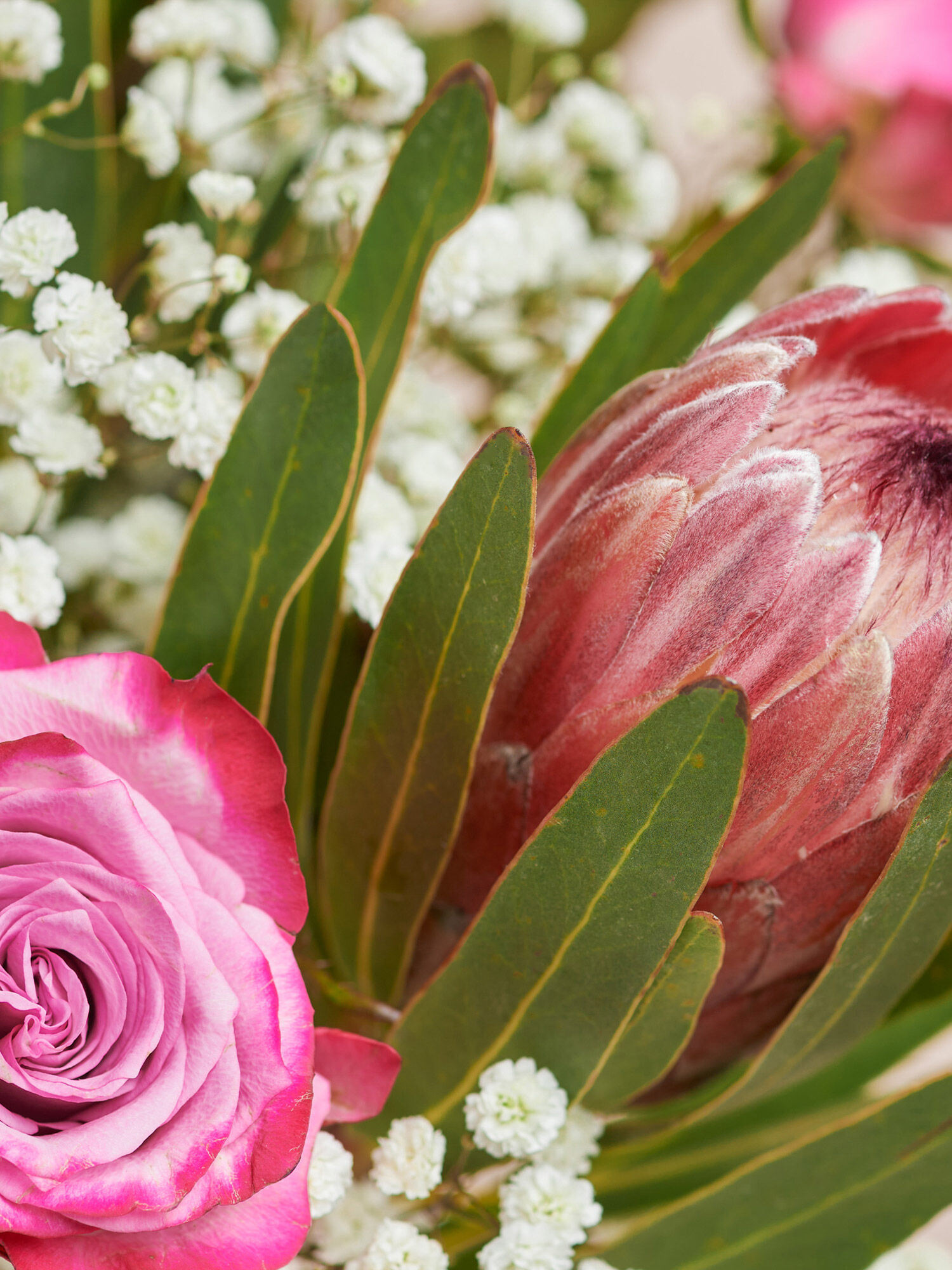 Blume, Blumen-Arrangement, Rose, Blumenstrauß, Blütenblatt